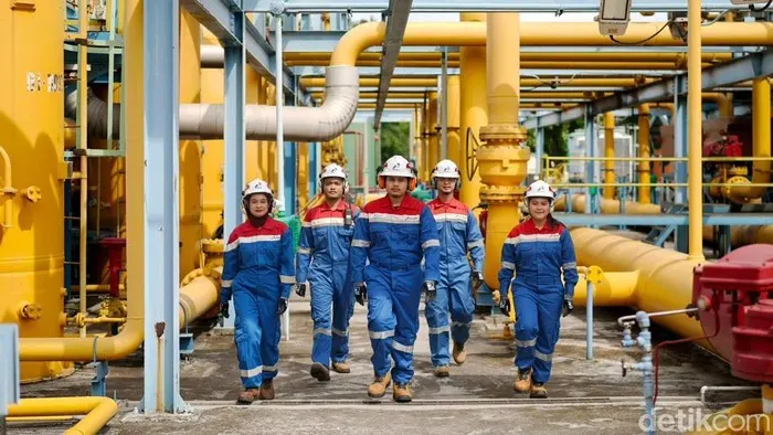 Operasikan 2.991 Km Pipa Gas & 605 Km Pipa Minyak, Pertagas Genjot Pasokan Energi