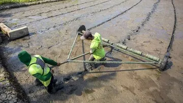 Penerapan Sistem Tanam Padi Modern PM-AAS di Cirebon Targetkan Hasil 10 Ton per Hektare