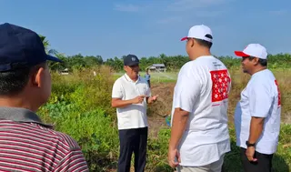 Sawah di Desa Kemuje Bangka Gagal Panen Akibat Kemarau dan Kebocoran Embung