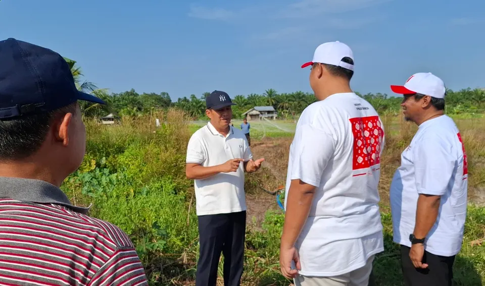 Sawah di Desa Kemuje Bangka Gagal Panen Akibat Kemarau dan Kebocoran Embung
