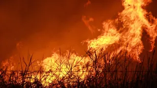 Kalimantan Terbakar, Angin Membawa Asap, Manusia Nyalakan Api