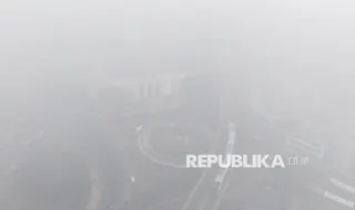 Langkah Memitigasi Risiko Karhutla, Menakar Biaya Pencegahan terhadap Kerugian Ekonomi