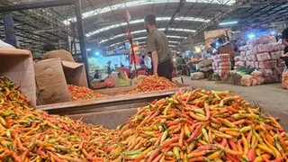 Mayoritas Harga Pangan Naik, Cabai Merah Nyaris Tembus Rp 60 Ribu per Kilogram