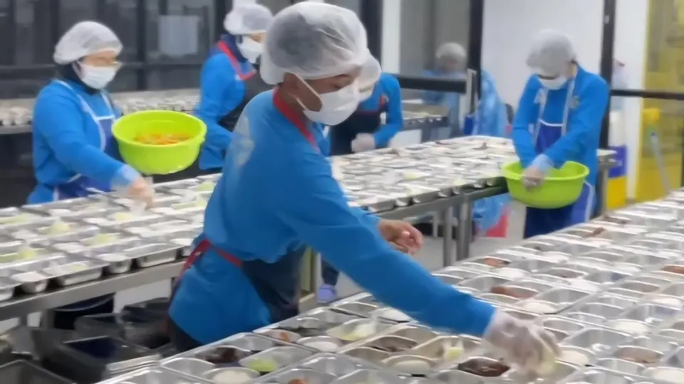 Implementasi Program Makan Bergizi Gratis Badan Gizi Nasional, Target Sasaran, Anggaran, dan Regulasi Operasional