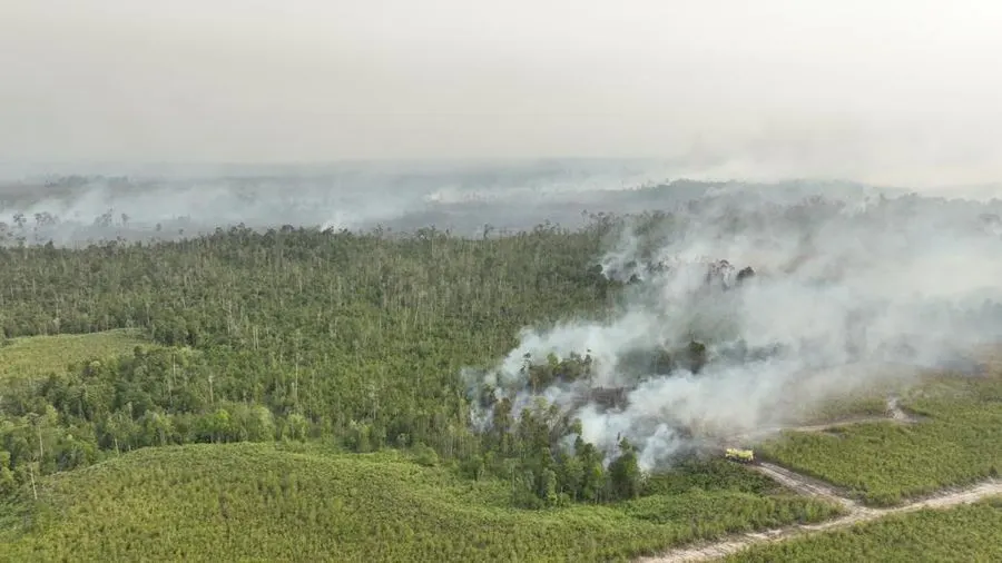 5 Perusahaan Kena Sanksi Karhutla Kalimantan, 1 Izin Dibekukan