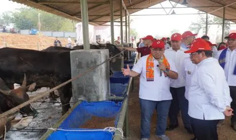 Proyek Kawasan Peternakan Sapi Terintegrasi Ciangir Senilai Rp1 Triliun Mulai Dibangun Akhir 2026