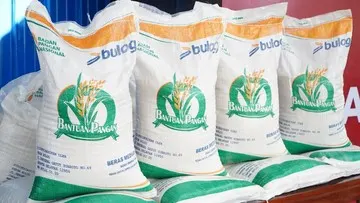 Pemerintah Salurkan Bantuan Beras Tahap Kedua Mulai 17 Agustus 2026 untuk Alokasi Tiga Bulan