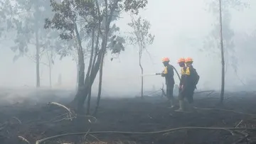 Lansia di Kubu Raya Kalbar Meninggal Saat Bantu Tangani Karhutla