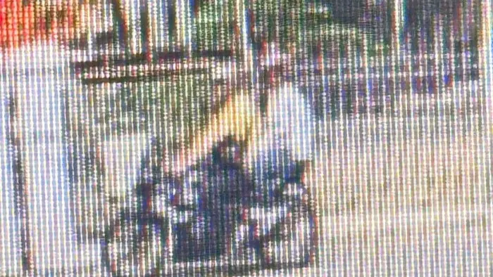 Kronologi Wanita Asal India Dijambret di Menteng hingga Pelaku Ditangkap Polisi