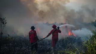 Update Penanganan Kebakaran Hutan di Kalimantan hingga Sumatera, BNPB Kerahkan Operasi Gabungan