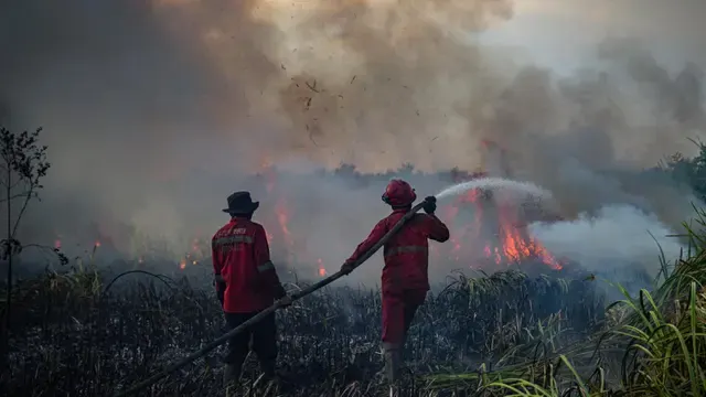 Update Penanganan Kebakaran Hutan di Kalimantan hingga Sumatera, BNPB Kerahkan Operasi Gabungan