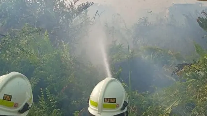 Kebakaran Lahan di Kampung Bandan Jakut Capai 0,5 Hektare, Diduga Akibat Puntung Rokok