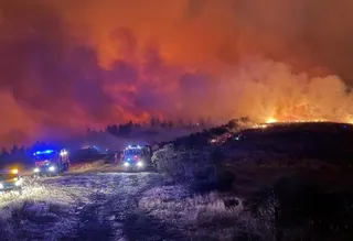 Kebakaran Hutan Tunisia, 100 Keluarga Dievakuasi di Kairouan dan Siliana