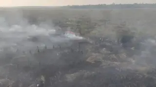 Kemenhut Sanksi 6 Perusahaan Buntut Kebakaran Hutan di Kalimantan, Daftar Pelanggaran dan Konsekuensi Hukum