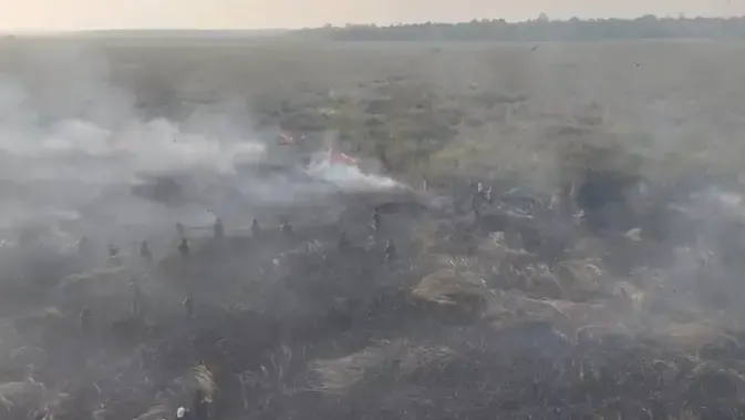 Kemenhut Sanksi 6 Perusahaan Buntut Kebakaran Hutan di Kalimantan, Daftar Pelanggaran dan Konsekuensi Hukum