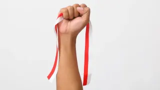 Pentingnya Ide Tema Kreatif dan Unik dalam Menyemarakkan Kegiatan HUT RI 17 Agustus