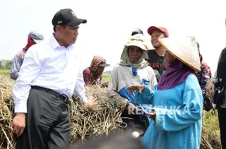 Mentan Amran Raih Kinerja Terbaik di Kabinet Merah Putih Dua Tahun Berturut-turut