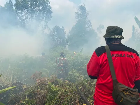 BNPB Ungkap Upaya Modifikasi Cuaca Padamkan Karhutla di Kalimantan-Sumatera
