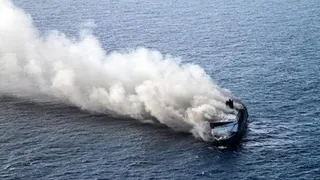 Kuda Pacu Juara Nasional Asal Sulawesi Selatan Hangus Terbakar di KMP Mutiara Sentosa II