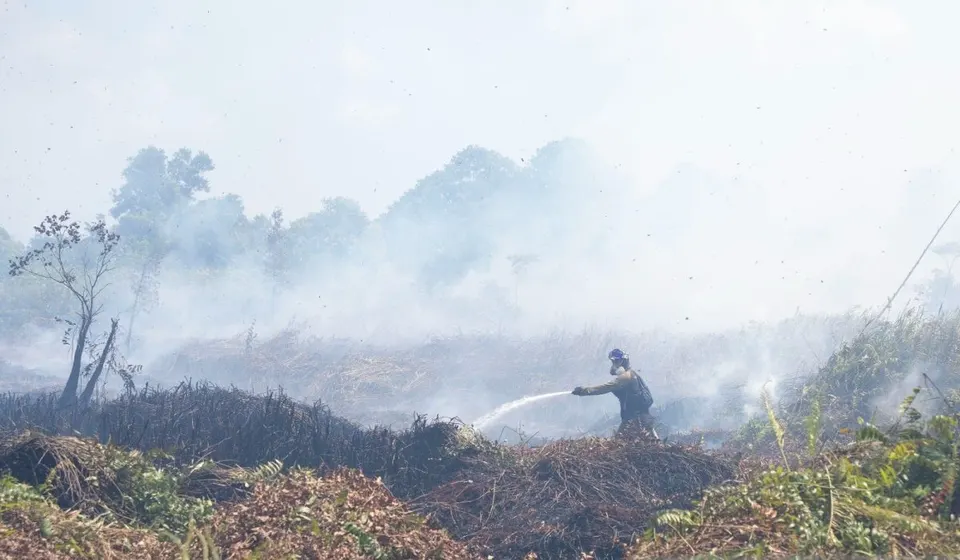 Ancaman Kebakaran Lahan di Yogyakarta Meningkat Jelang Puncak Kemarau Agustus 2026