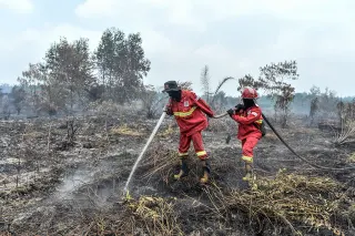 Manggala Agni Padamkan Kebakaran Lahan Gambut di Tanjung Jabung Timur Jambi