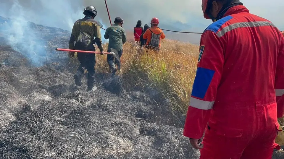 Tantangan Pemadaman Kebakaran Bromo Saat Api Mulai Melompati Lautan Pasir