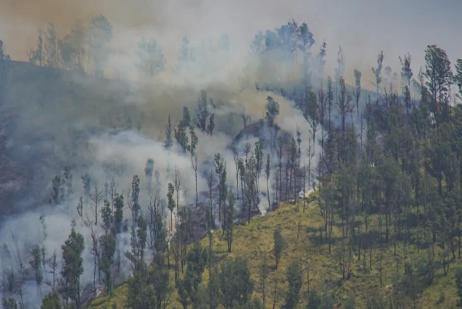 Kebakaran Gunung Bromo Water Bombing Terhenti, Cuaca Jadi Kendala