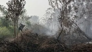 Bareskrim Polri Selidiki Dugaan Keterlibatan Pemodal dalam Kasus Karhutla di Kalimantan