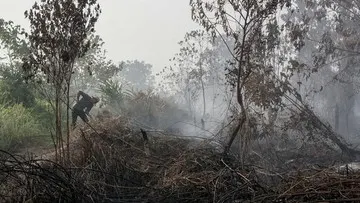 Bareskrim Polri Selidiki Dugaan Keterlibatan Pemodal dalam Kasus Karhutla di Kalimantan