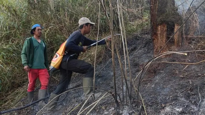 Hutan di Ranu Kembang Kebakaran, Jalur Pendakian Gunung Semeru Ditutup Total