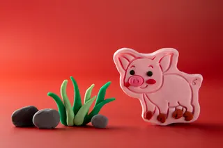 Ramalan Shio Anjing dan Babi Minggu 6 September 2026, Strategi Finansial hingga Kesehatan