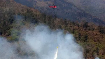 BPBD, Karhutla di Gunung Arjuno-Welirang Berhasil Dipadamkan