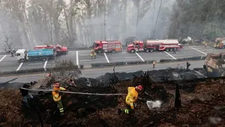 Penampakan Kebakaran Hutan Merambat ke Kota, Dekati Pemukiman Warga