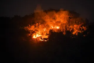 Kebakaran Hutan Melanda Kawasan Gunung Jati di Kabupaten Bandung