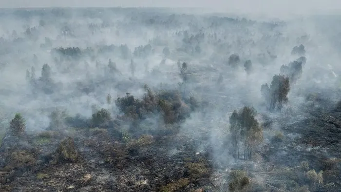 BPBD, Karhutla di Kalimantan Selatan Capai 12 Ribu Hektare