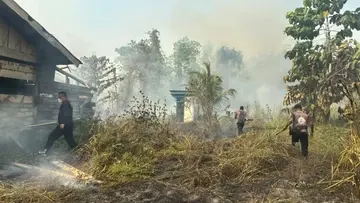 BMKG Deteksi 1.923 Titik Panas di Papua Tengah, Nabire 1.069 Hotspot, Langkah Mitigasi dan Kewaspadaan Warga