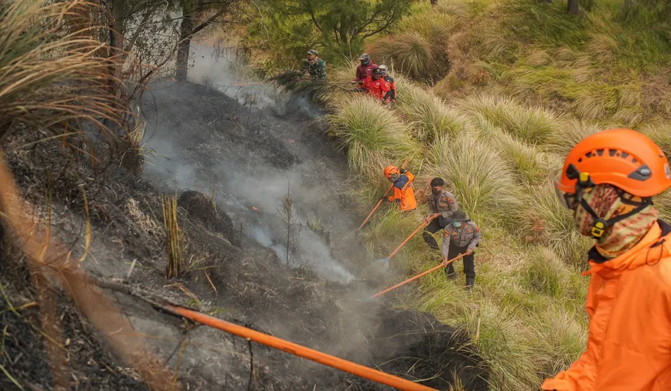 Kemenhut Terjunkan Tim Ahli Dalami Kebakaran Bromo