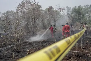 Sengaja Bakar Lahan, 72 Orang Jadi Tersangka Karhutla