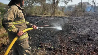Kebakaran Lahan 30 Hektare di Rorotan Diduga Sengaja Dibakar