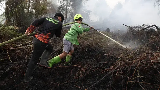3 Juta Orang Terpapar Asap Kebakaran Hutan, Ini Risiko bagi Kesehatan