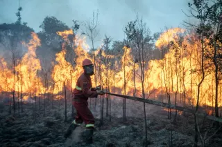 Mayoritas Karhutla Sengaja Dipicu demi Buka Lahan Sawit, Polri Tetapkan 72 Tersangka