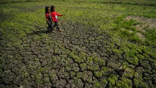 Kekeringan di Gunungkidul, Warga Dusun Kemesu Terpaksa Jual Ternak demi Air Bersih