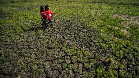 Kekeringan di Gunungkidul, Warga Dusun Kemesu Terpaksa Jual Ternak demi Air Bersih