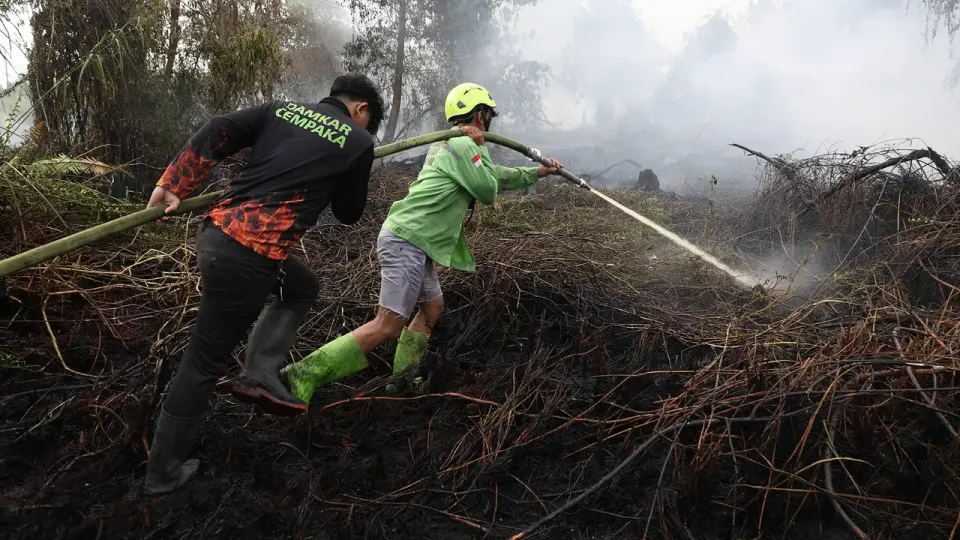 Pemerintah Sewa Pesawat Rusia Padamkan Kebakaran Hutan