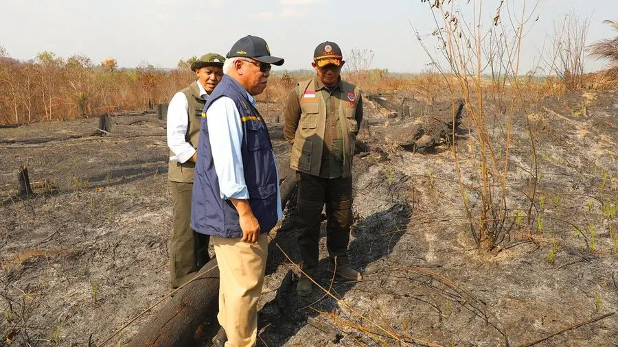 IKN Siaga 1! Api Kebakaran di 319 Hektare Lahan Belum Padam