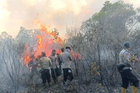 Karhutla Melanda TNWK, Pantauan Satwa Liar, Dugaan Kesengajaan, dan Sinergi Pengamanan Kawasan Konservasi