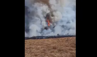 Kebakaran Lahan Melanda Alun-Alun Surya Kencana, Jalur Pendakian Gunung Gede Pangrango Ditutup Sementara