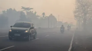 BNPB Sebut Kualitas Udara Berbahaya Imbas Kebakaran Hutan di Kalimantan