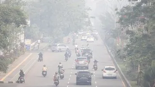 Kabut Asap Memburuk, Jam Sekolah di Palangka Raya Mulai Dipangkas