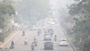 Kabut Asap Memburuk, Jam Sekolah di Palangka Raya Mulai Dipangkas